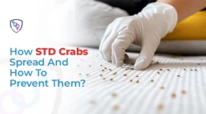 How STD Crabs Spread And How To Prevent Them
