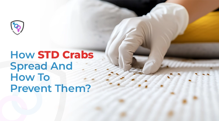 How STD Crabs Spread And How To Prevent Them